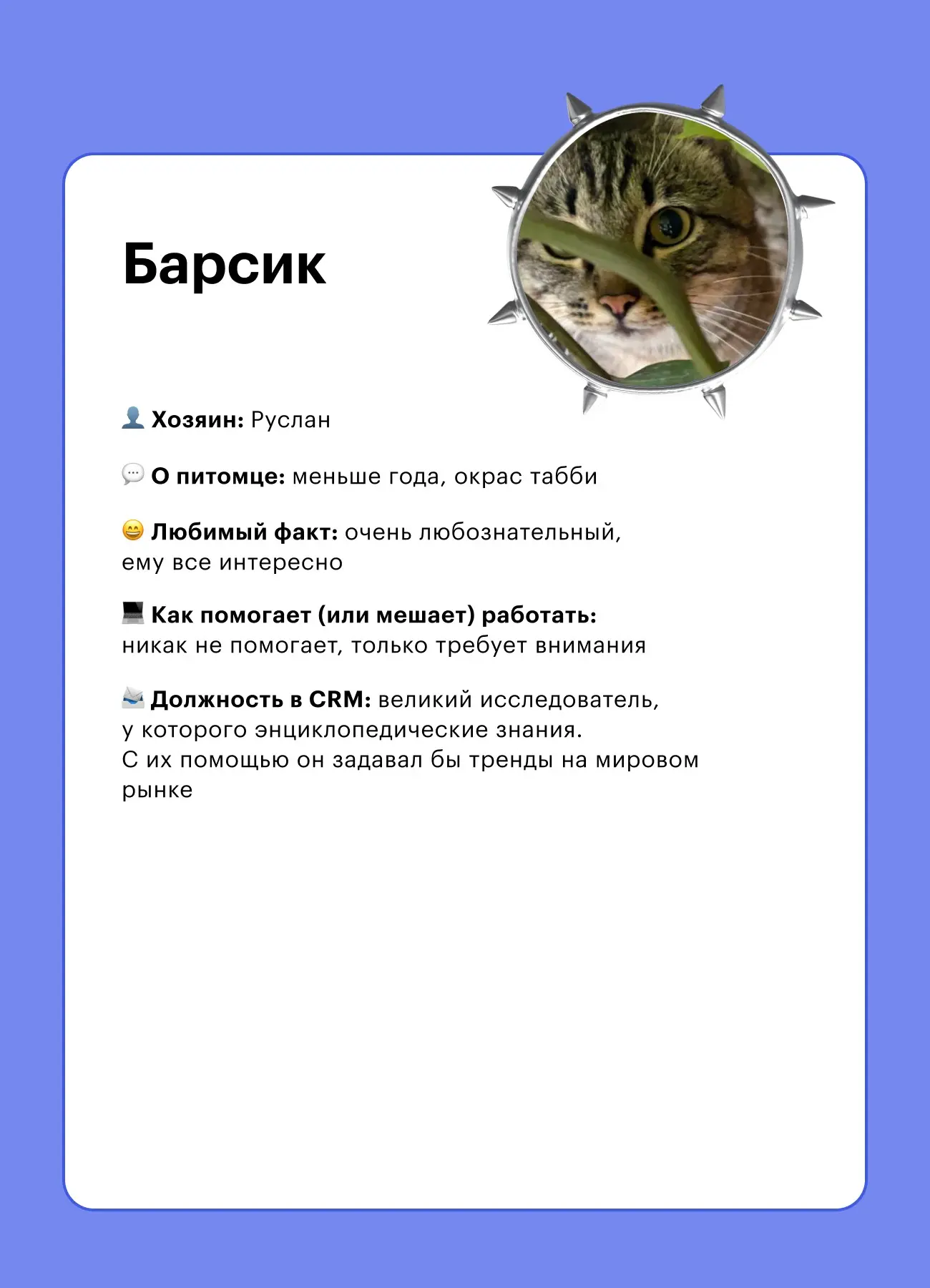 🐾 Кто помогает делать CRM-коммуникации (и иногда мешает) | Сетка — социальная сеть от hh.ru