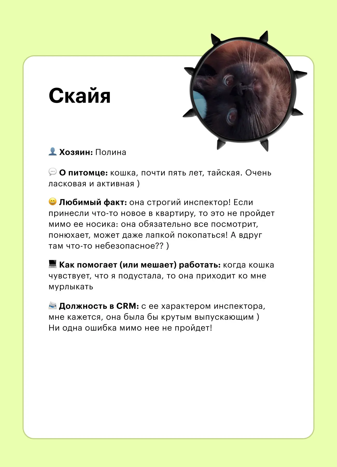 🐾 Кто помогает делать CRM-коммуникации (и иногда мешает) | Сетка — социальная сеть от hh.ru