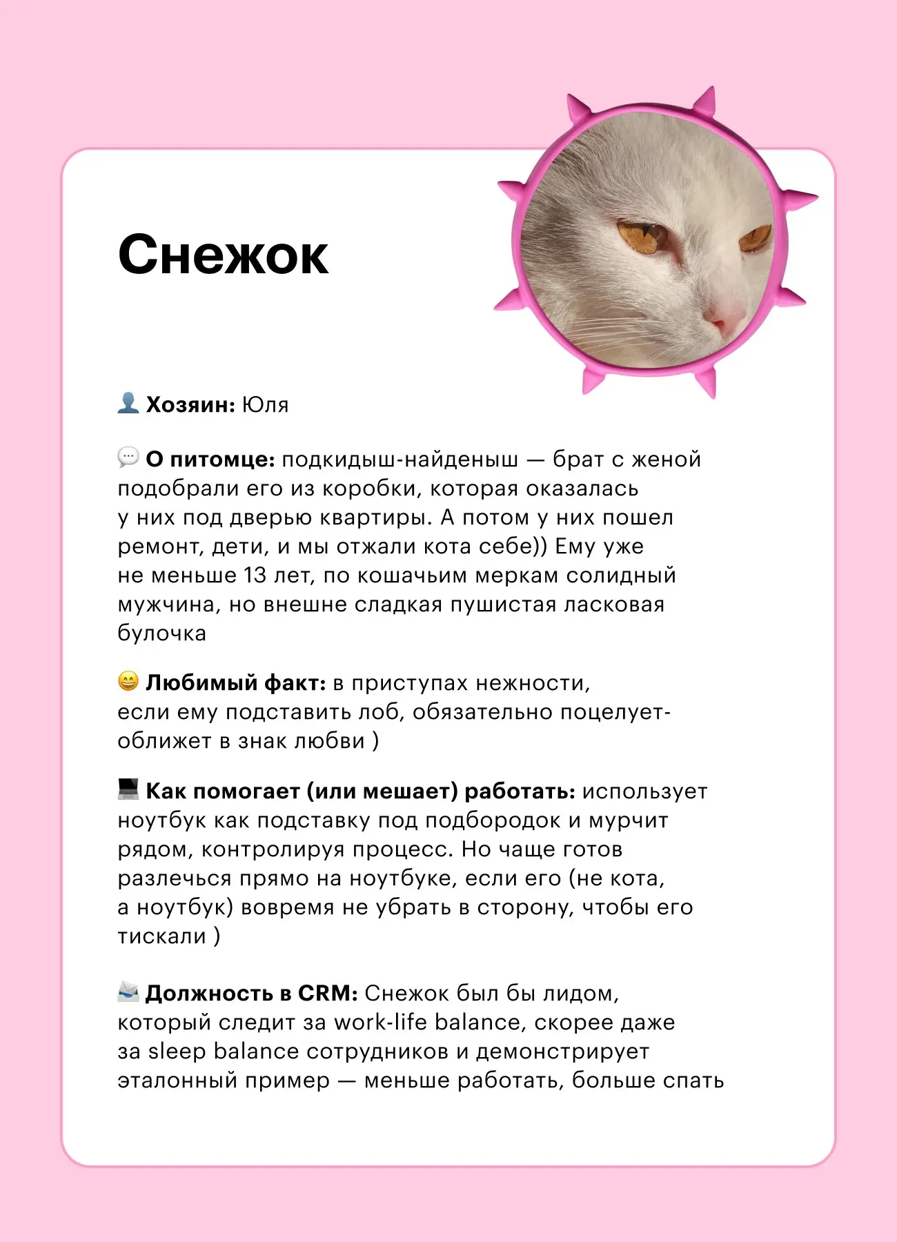 🐾 Кто помогает делать CRM-коммуникации (и иногда мешает) | Сетка — социальная сеть от hh.ru