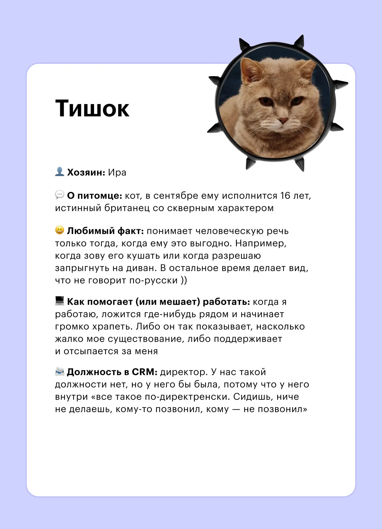 🐾 Кто помогает делать CRM-коммуникации (и иногда мешает) | Сетка — социальная сеть от hh.ru