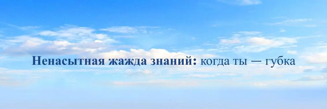 Ненасытная жажда знаний: когда ты — губка | Сетка — социальная сеть от hh.ru