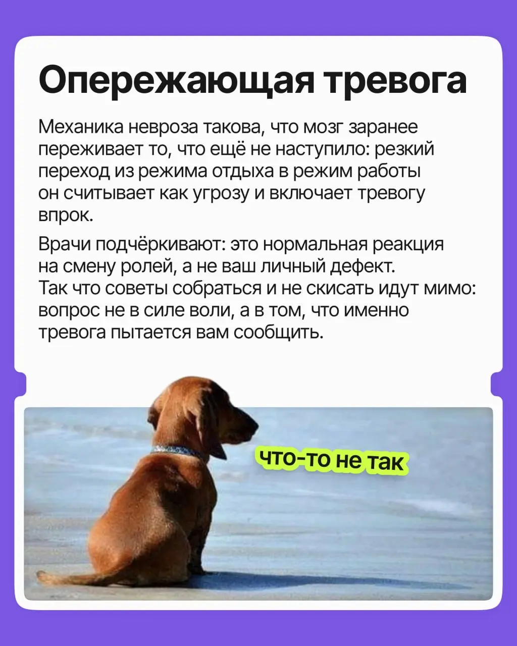 Знакомо ли вам чувство, когда уже в воскресенье вас начинает тошнить из-за грядущей рабочей недели? Выходной ещё не кончился, а голова уже на работе — и настроения как не бывало | Сетка — социальная сеть от hh.ru