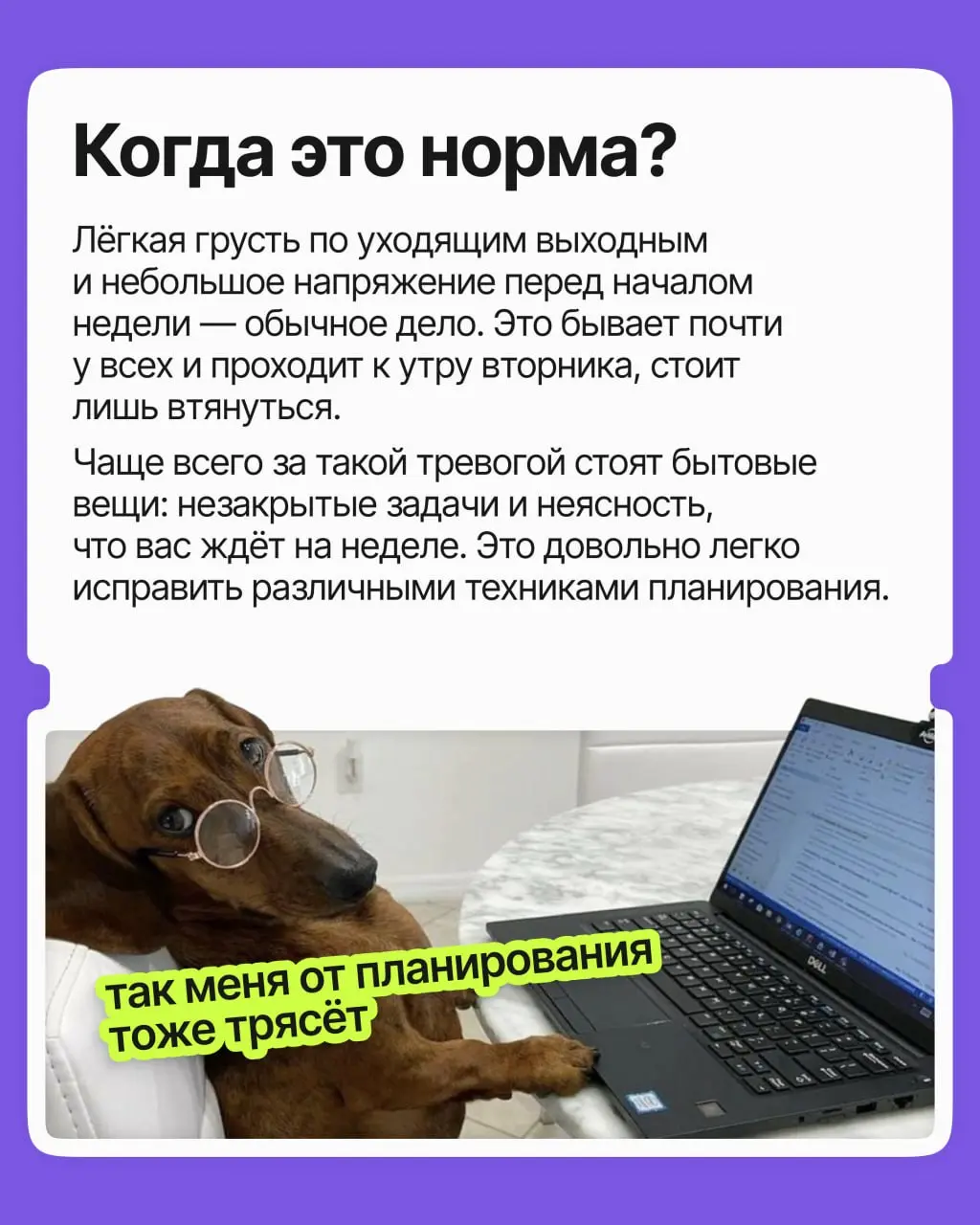 Знакомо ли вам чувство, когда уже в воскресенье вас начинает тошнить из-за грядущей рабочей недели? Выходной ещё не кончился, а голова уже на работе — и настроения как не бывало | Сетка — социальная сеть от hh.ru