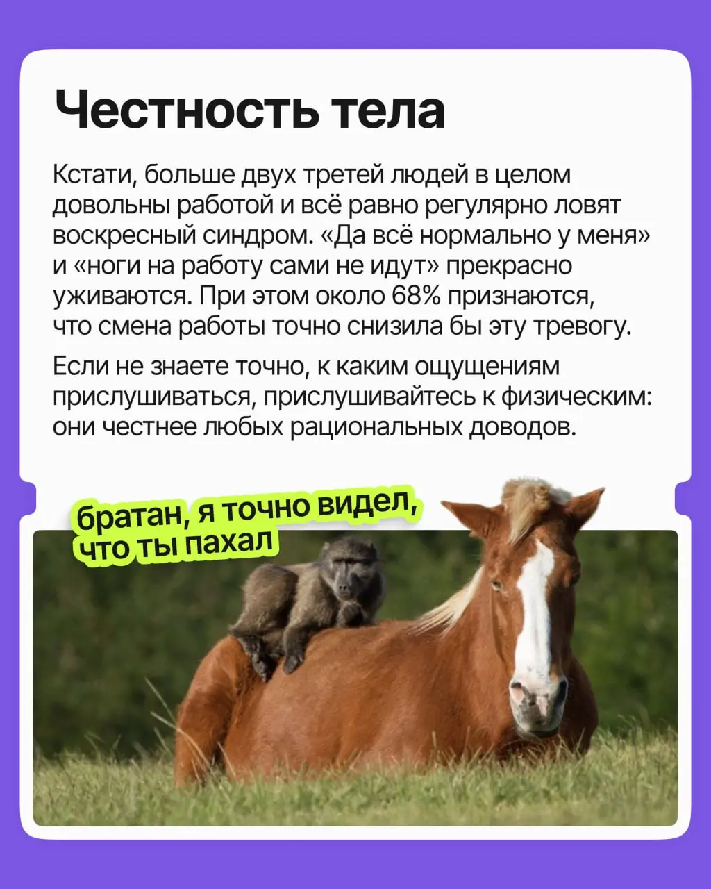 Знакомо ли вам чувство, когда уже в воскресенье вас начинает тошнить из-за грядущей рабочей недели? Выходной ещё не кончился, а голова уже на работе — и настроения как не бывало | Сетка — социальная сеть от hh.ru