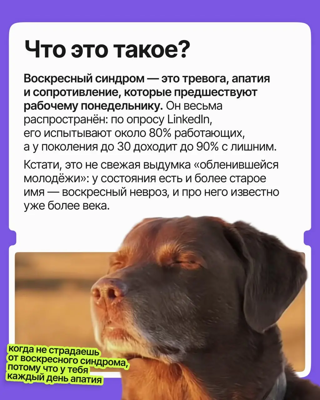 Знакомо ли вам чувство, когда уже в воскресенье вас начинает тошнить из-за грядущей рабочей недели? Выходной ещё не кончился, а голова уже на работе — и настроения как не бывало | Сетка — социальная сеть от hh.ru