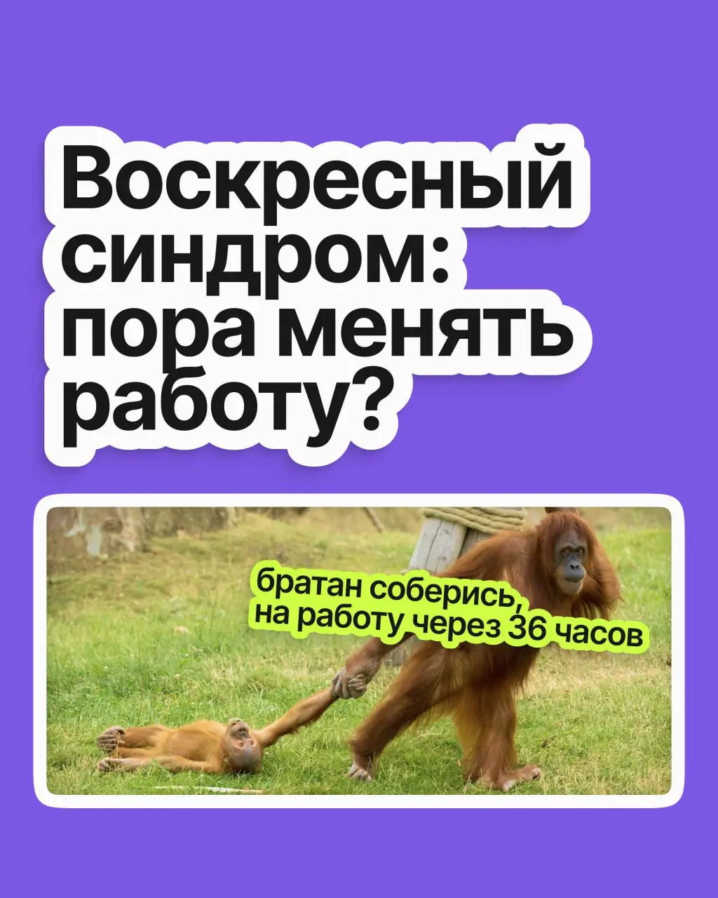Знакомо ли вам чувство, когда уже в воскресенье вас начинает тошнить из-за грядущей рабочей недели? Выходной ещё не кончился, а голова уже на работе — и настроения как не бывало | Сетка — социальная сеть от hh.ru