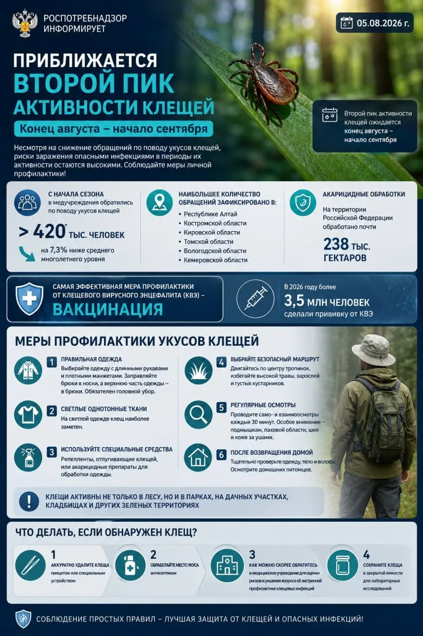 🕷 Клещи: второй пик активности
Роспотребнадзор информирует о приближении второго пика активности клещей, который ожидается в конце августа – начале сентября, и призывает соблюдать меры личной профилак... | Сетка — социальная сеть от hh.ru