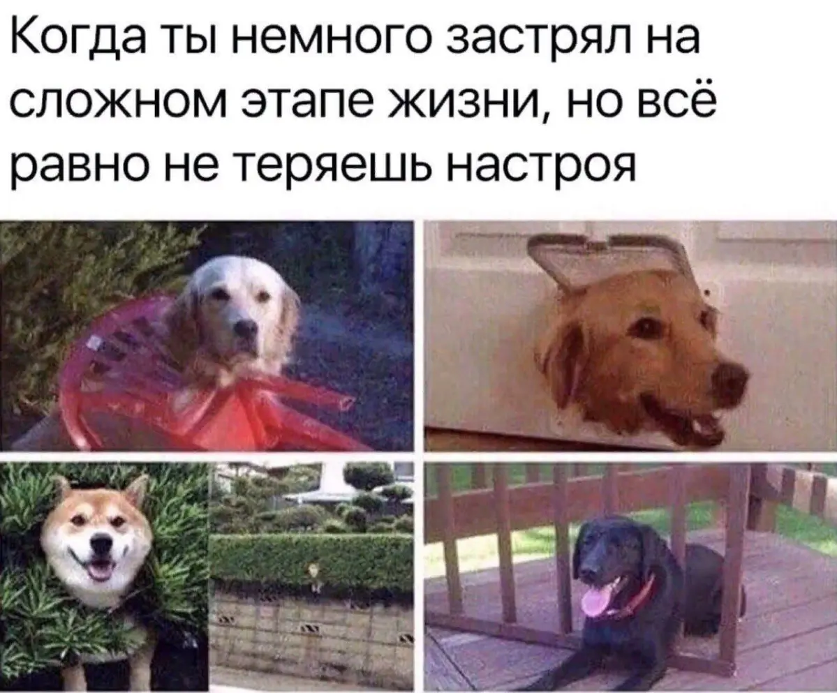 Думаешь сейчас плохо? будет ещё хуже. | Сетка — социальная сеть от hh.ru