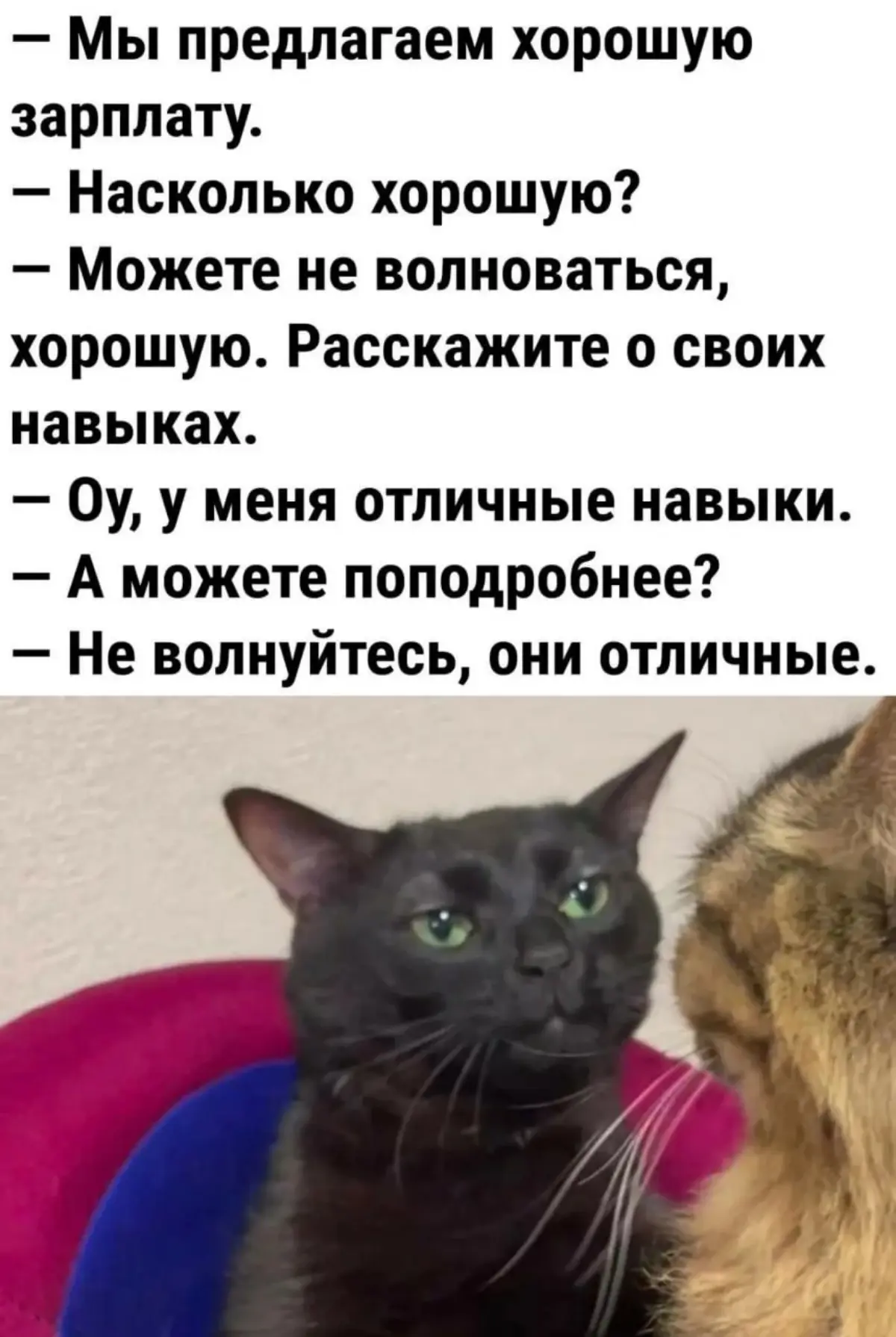 актуалочка | Сетка — социальная сеть от hh.ru