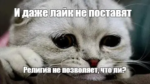 Ну вот что за люди, эх... | Сетка — социальная сеть от hh.ru