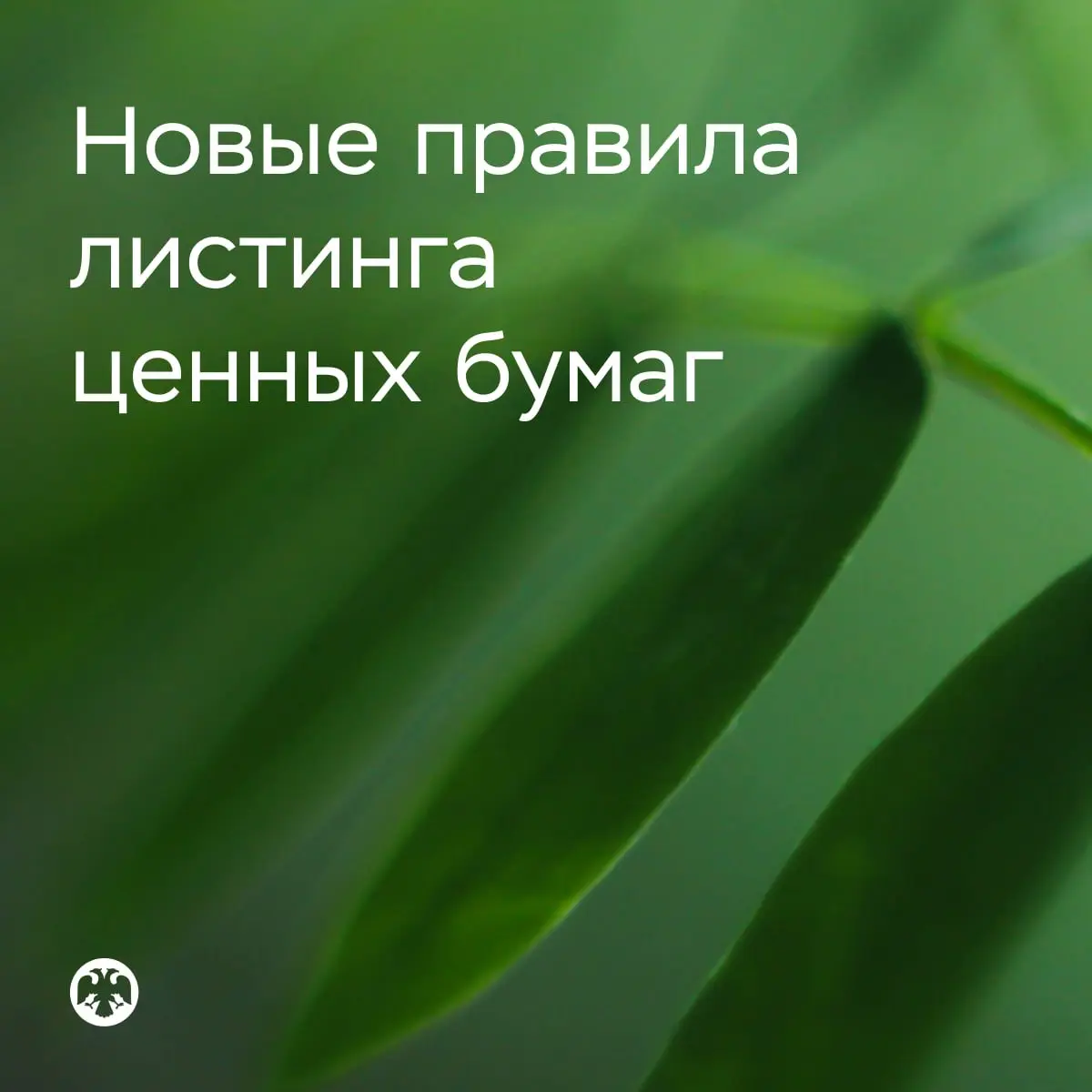 💵 Проект новых правил листинга ценных бумаг
Банк России обновил требования к допуску ценных бумаг на организованные торги | Сетка — социальная сеть от hh.ru
