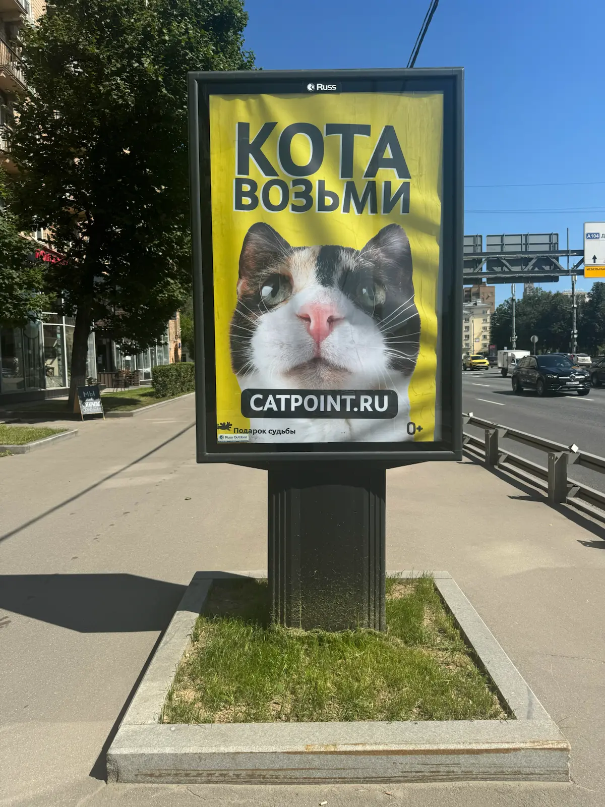 МОЖ: Первый взгляд | Сетка — социальная сеть от hh.ru