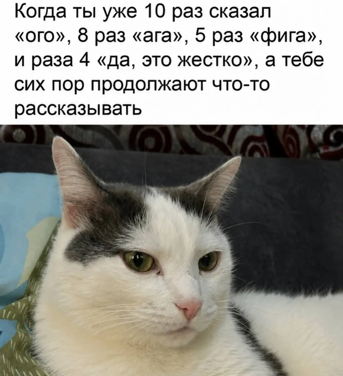 Слишком длинная история 😂
БЛОГ В ТГ / БЛОГ В MAX
#Юмор #Коты
В этом посте были ссылки, но мы их удалили по правилам Сетки | Сетка — социальная сеть от hh.ru