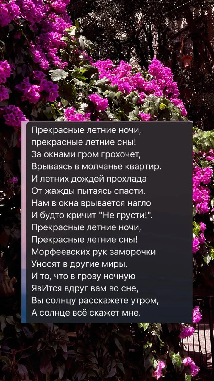 Август. Дождь. И новая суперспособность.
Лето несётся с космической скоростью. Только успеваешь моргнуть, а за окном уже август, и ливни всё чаще пахнут осенью | Сетка — социальная сеть от hh.ru