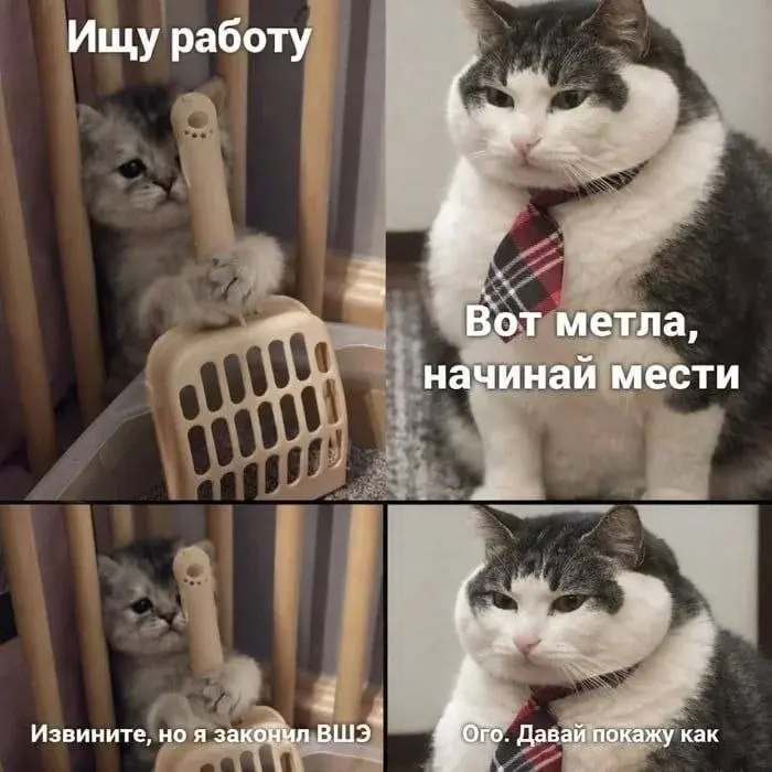 После жаркой недели хочется немного расслабиться и поржать
Всем классных выходных 🥳 | Сетка — социальная сеть от hh.ru