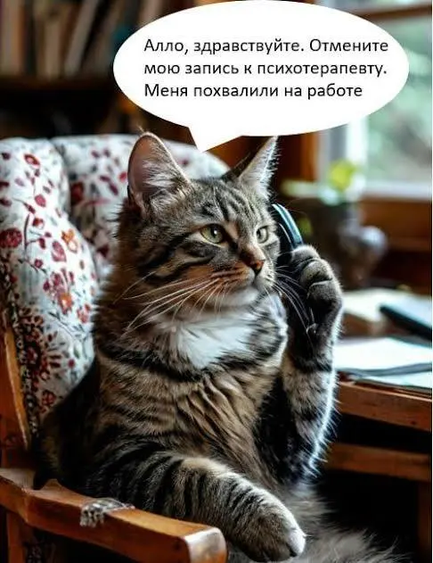 Если вас на этой неделе не хвалили на работе, знайте: вы молодцы!
Даже если работали не от всего сердца 🌝 | Сетка — социальная сеть от hh.ru