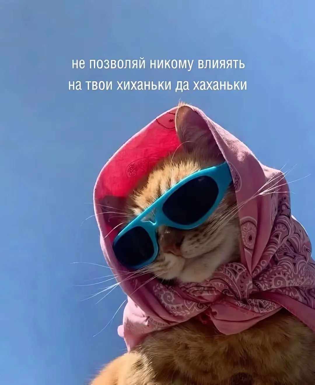 Я вернулась, но ничего не пропустила | Сетка — социальная сеть от hh.ru