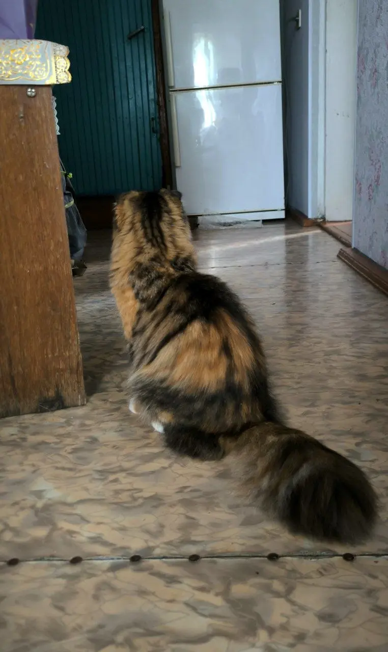 Учиться жить означает не только учиться встречаться с болью. Это также обретение способности радоваться и наслаждаться жизнью и её дарами, несмотря на то, что все в нашей жизни временно и несовершенно | Сетка — социальная сеть от hh.ru