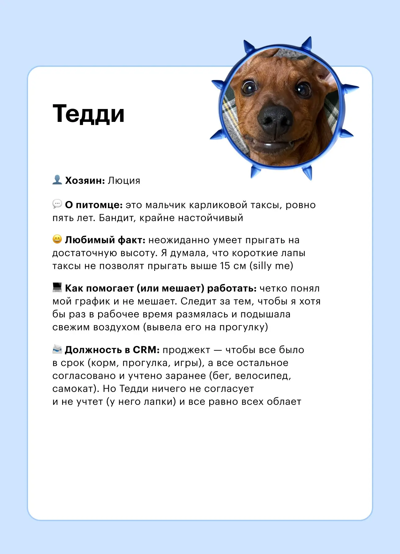 🐾 Кто помогает делать CRM-коммуникации (и иногда мешает) | Сетка — социальная сеть от hh.ru