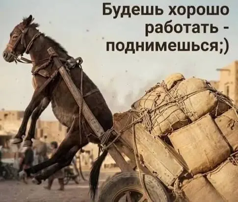 Не обманули | Сетка — социальная сеть от hh.ru
