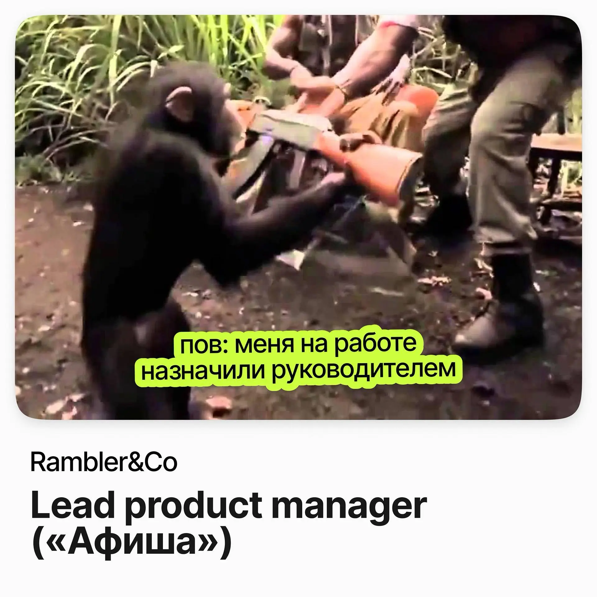 🎬 Lead product manager («Афиша») / Rambler&Co
Rambler&Co — медиахолдинг, которому принадлежат «Афиша», «Афиша Daily» и «Афиша Рестораны».
Ищут руководителя продуктовой группы в Москве, только офис | Сетка — социальная сеть от hh.ru