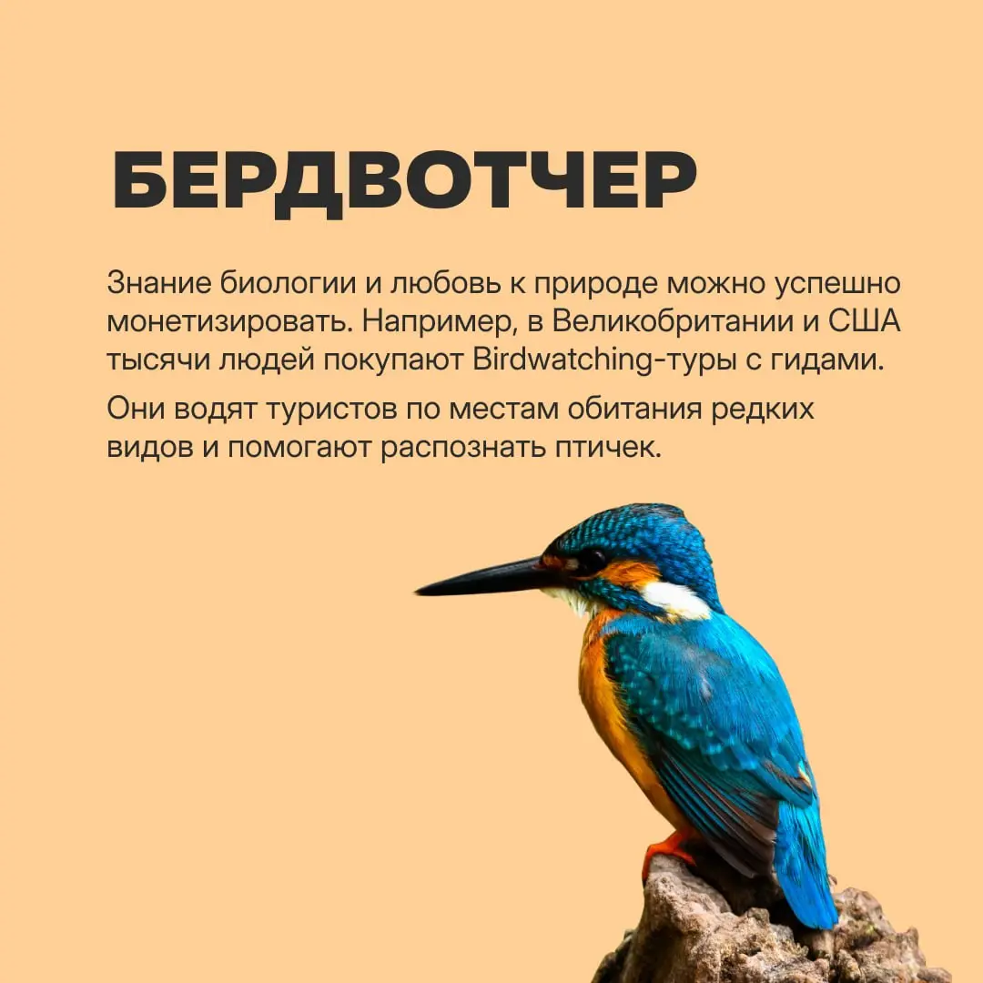 Карьерный план на случай выгорания: водить людей за грибами, собирать чужой LEGO и сидеть в очереди в налоговой — и все это за деньги! https://clck.ru/3V95ch | Сетка — социальная сеть от hh.ru