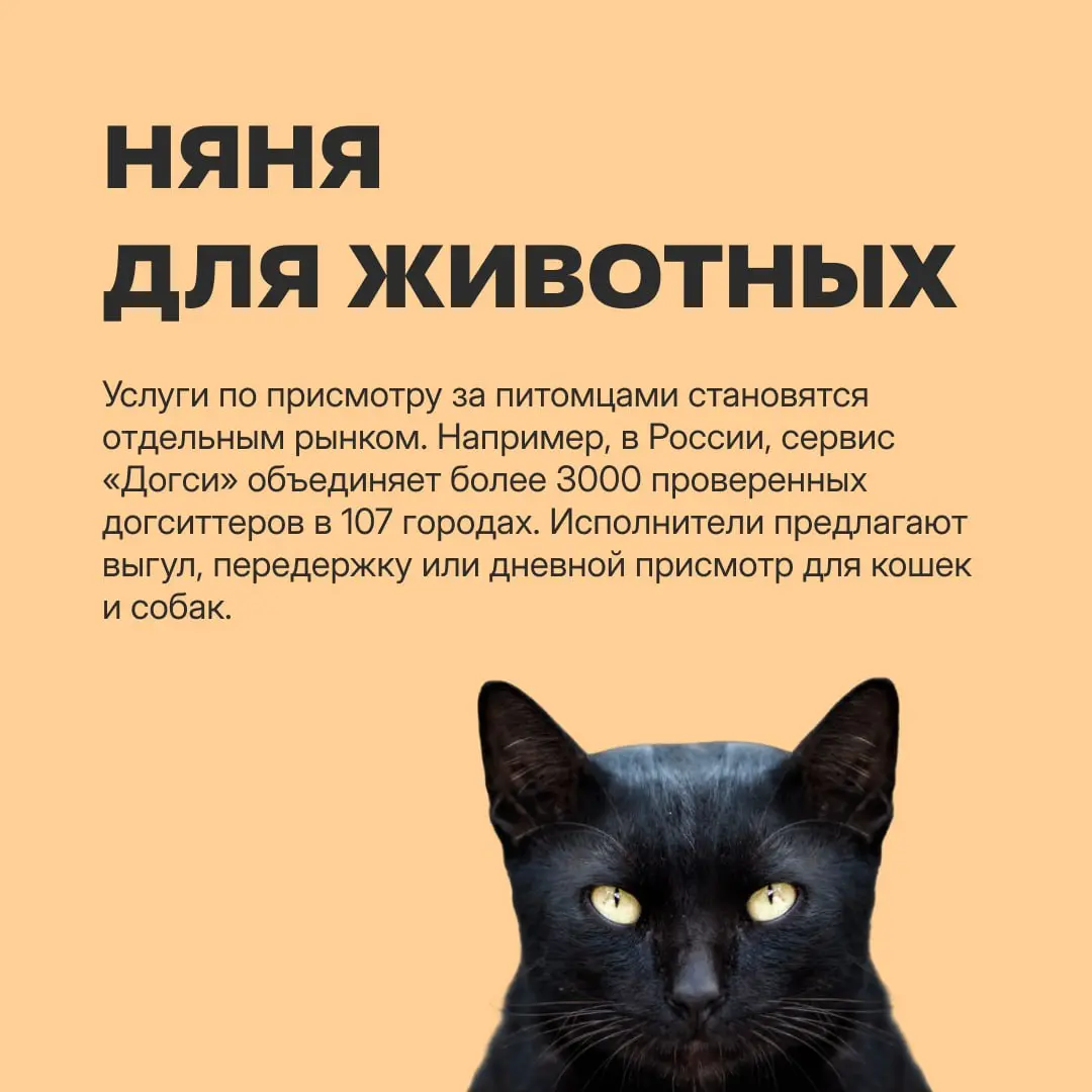 Карьерный план на случай выгорания: водить людей за грибами, собирать чужой LEGO и сидеть в очереди в налоговой — и все это за деньги! https://clck.ru/3V95ch | Сетка — социальная сеть от hh.ru