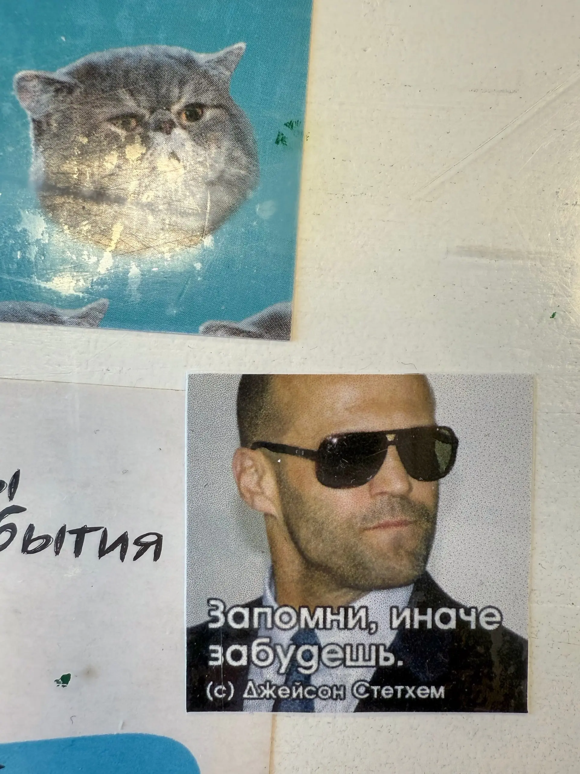 Между прочим, мемы на нашей кухне ☝️ | Сетка — социальная сеть от hh.ru