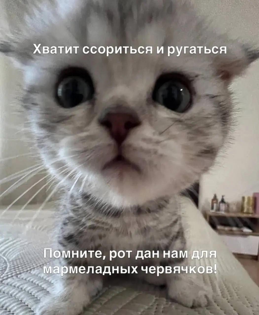 Не забывайте важное | Сетка — социальная сеть от hh.ru