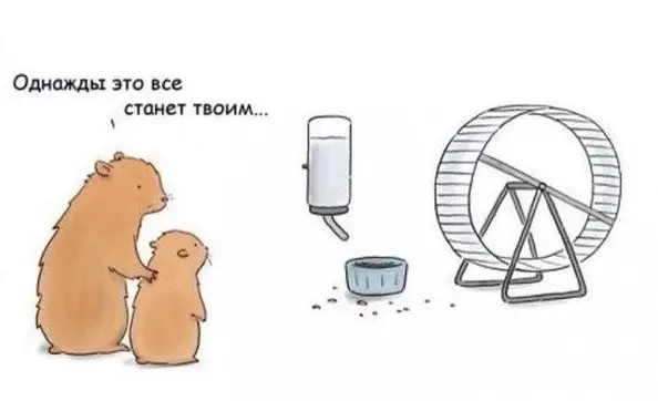 No comments | Сетка — социальная сеть от hh.ru