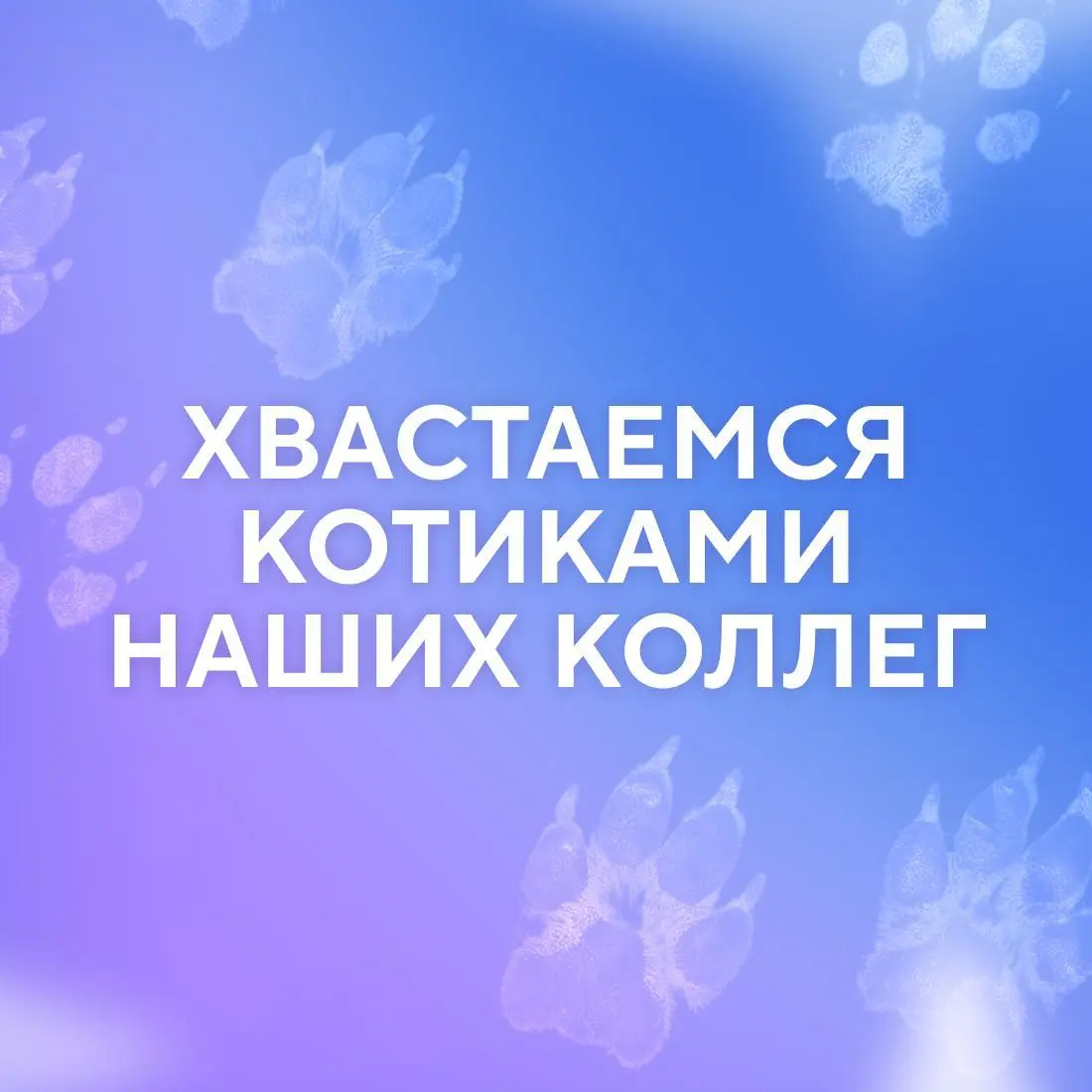 Ну, они 💅
Пушистые эксперты по снятию стресса, моральной поддержке и напоминаниям, что пора на обед. Сегодня, в Международный день кошек, делимся фотографиями любимцев наших коллег | Сетка — социальная сеть от hh.ru