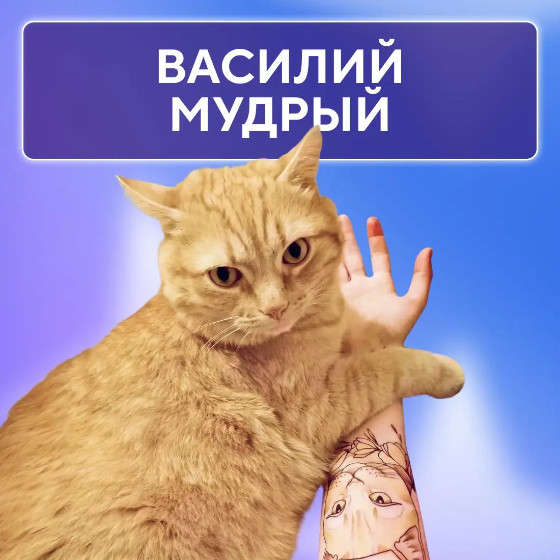 Ну, они 💅
Пушистые эксперты по снятию стресса, моральной поддержке и напоминаниям, что пора на обед. Сегодня, в Международный день кошек, делимся фотографиями любимцев наших коллег | Сетка — социальная сеть от hh.ru