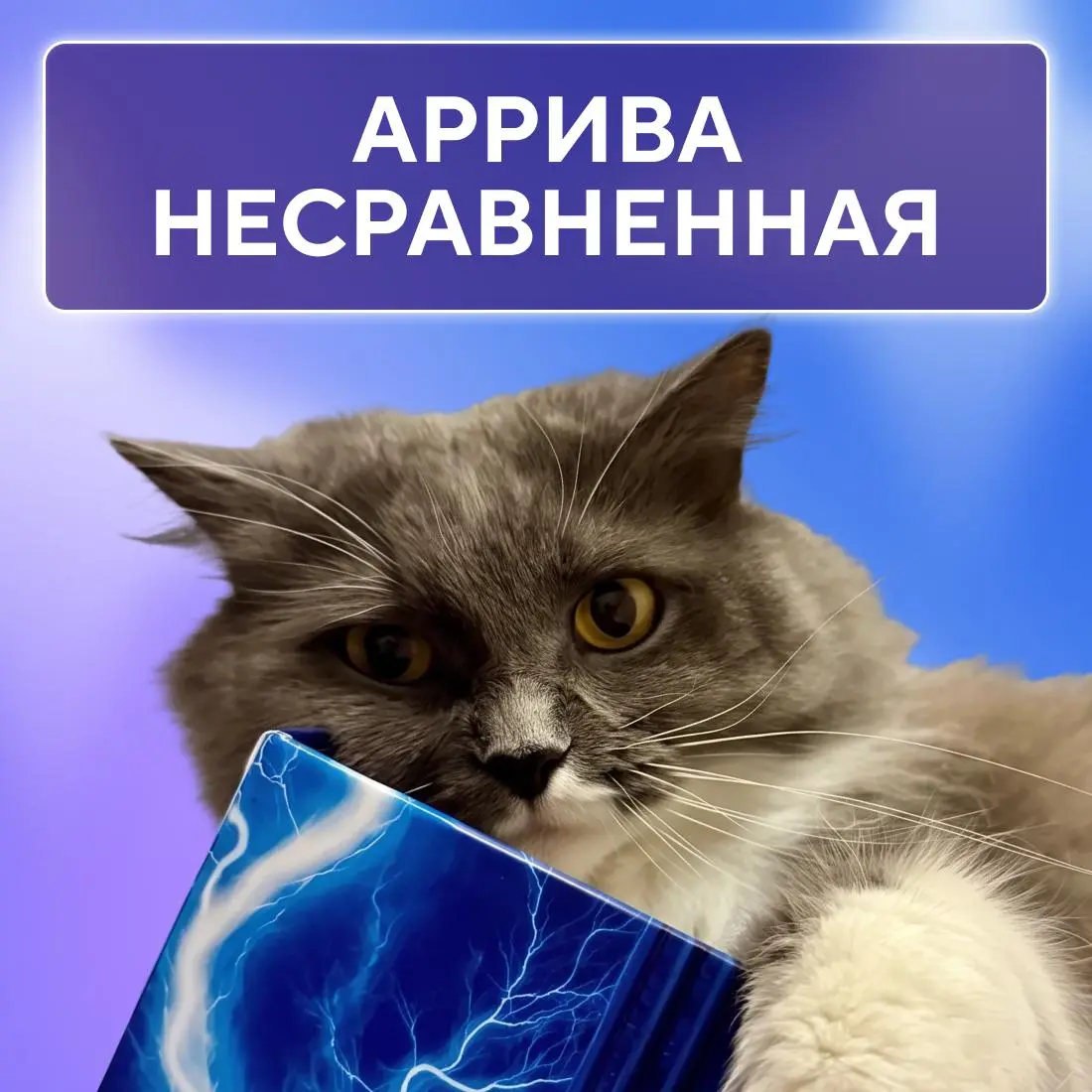 Ну, они 💅
Пушистые эксперты по снятию стресса, моральной поддержке и напоминаниям, что пора на обед. Сегодня, в Международный день кошек, делимся фотографиями любимцев наших коллег | Сетка — социальная сеть от hh.ru