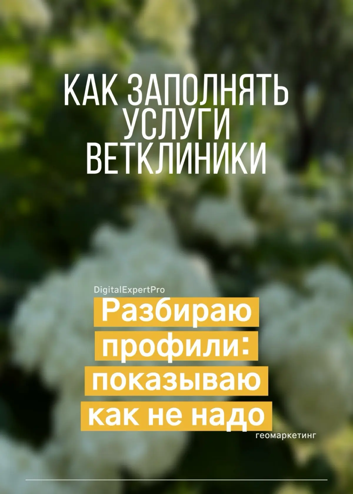 Яндекс карты: что пишем к описанию в раздел услуги | Сетка — социальная сеть от hh.ru