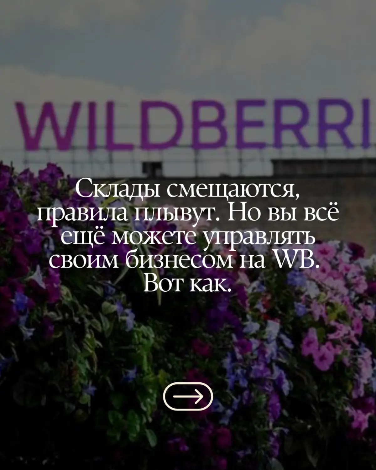 #бизнес #вайлдбериз #продвижение | Сетка — социальная сеть от hh.ru