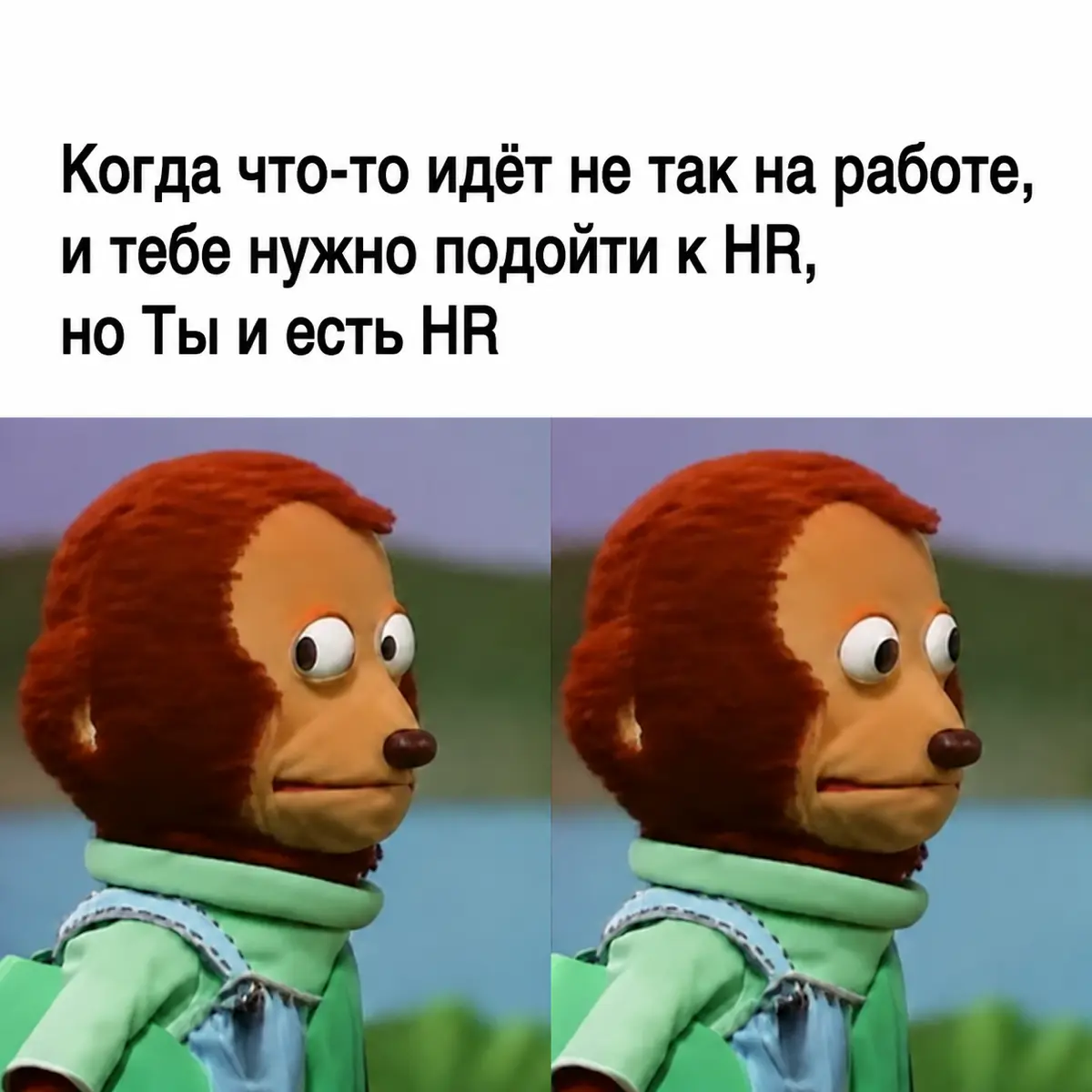 😁🤷🏻‍♂️ | Сетка — социальная сеть от hh.ru