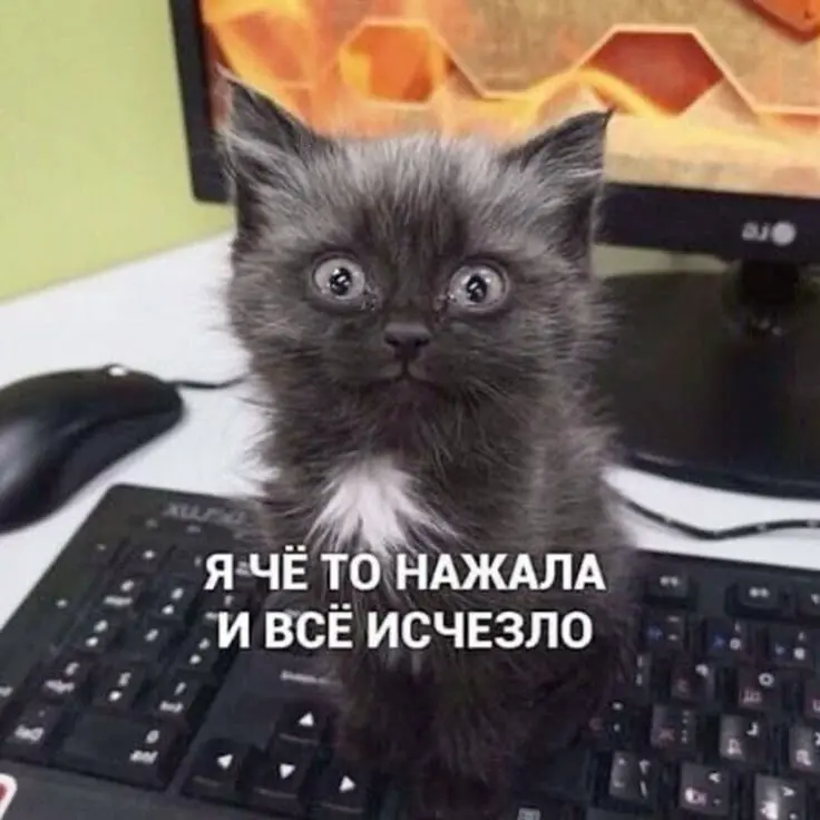 База, которую я получаю, работая с детьми: | Сетка — социальная сеть от hh.ru