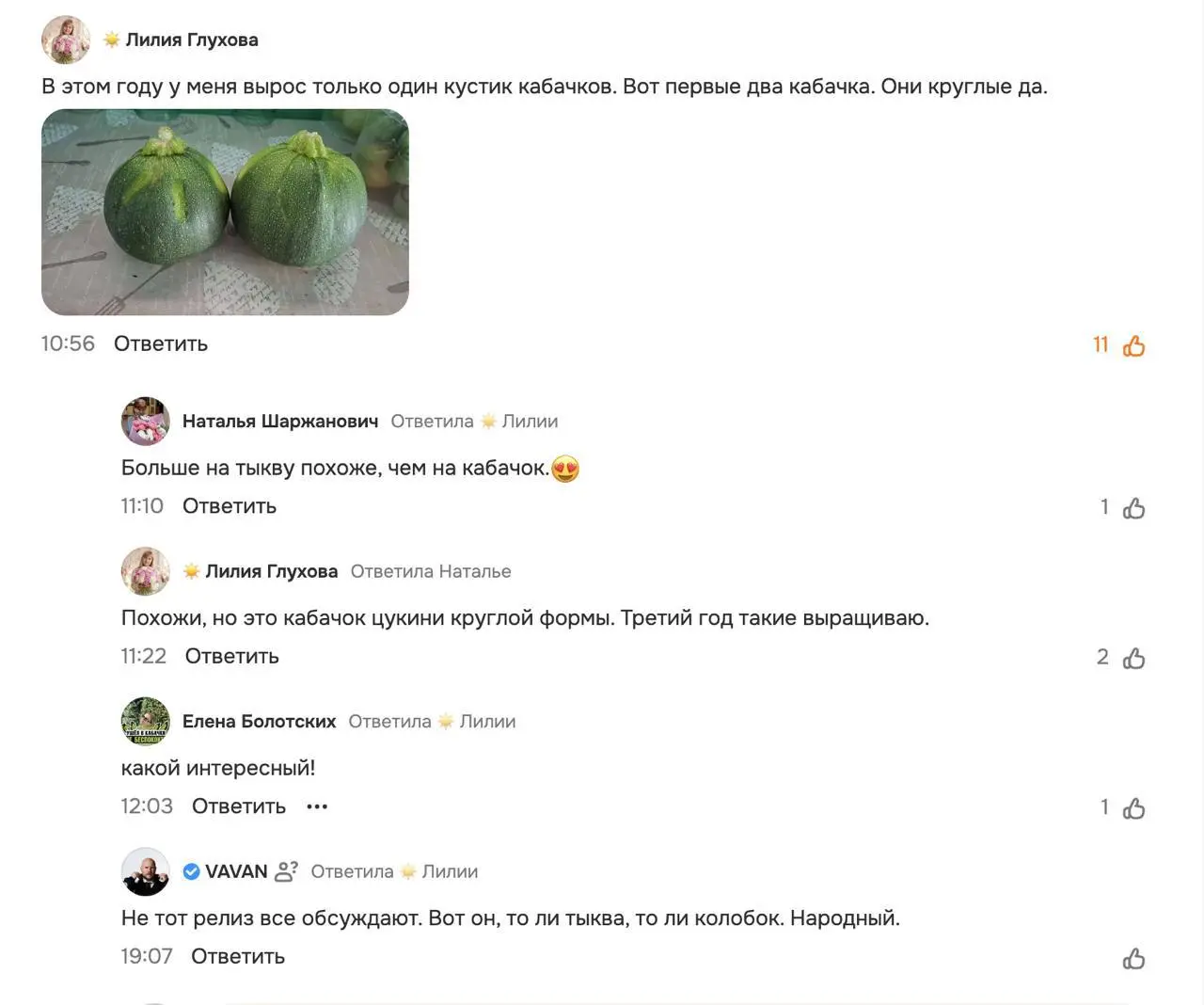 Зумеры, которые переходят на grandmacore, пытаются замедлиться и жить в моменте — срочно бегите в ОК хвастаться своими… кабачками перед Вованом из «Реальных пацанов» | Сетка — социальная сеть от hh.ru