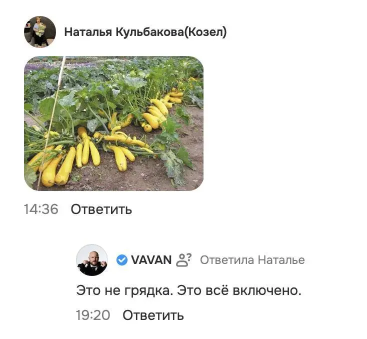 Зумеры, которые переходят на grandmacore, пытаются замедлиться и жить в моменте — срочно бегите в ОК хвастаться своими… кабачками перед Вованом из «Реальных пацанов» | Сетка — социальная сеть от hh.ru