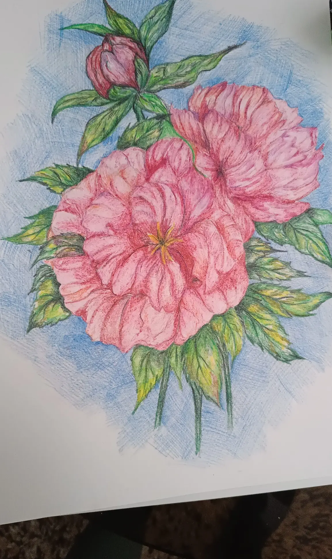 Кристина  Чередникова 