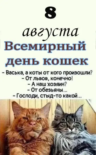 От любимой подруги Лены
8 августа - Всемирный день кошек.
Подарили своим котикам подарки, обняли? 👍 ❤️
#Коты | Сетка — социальная сеть от hh.ru