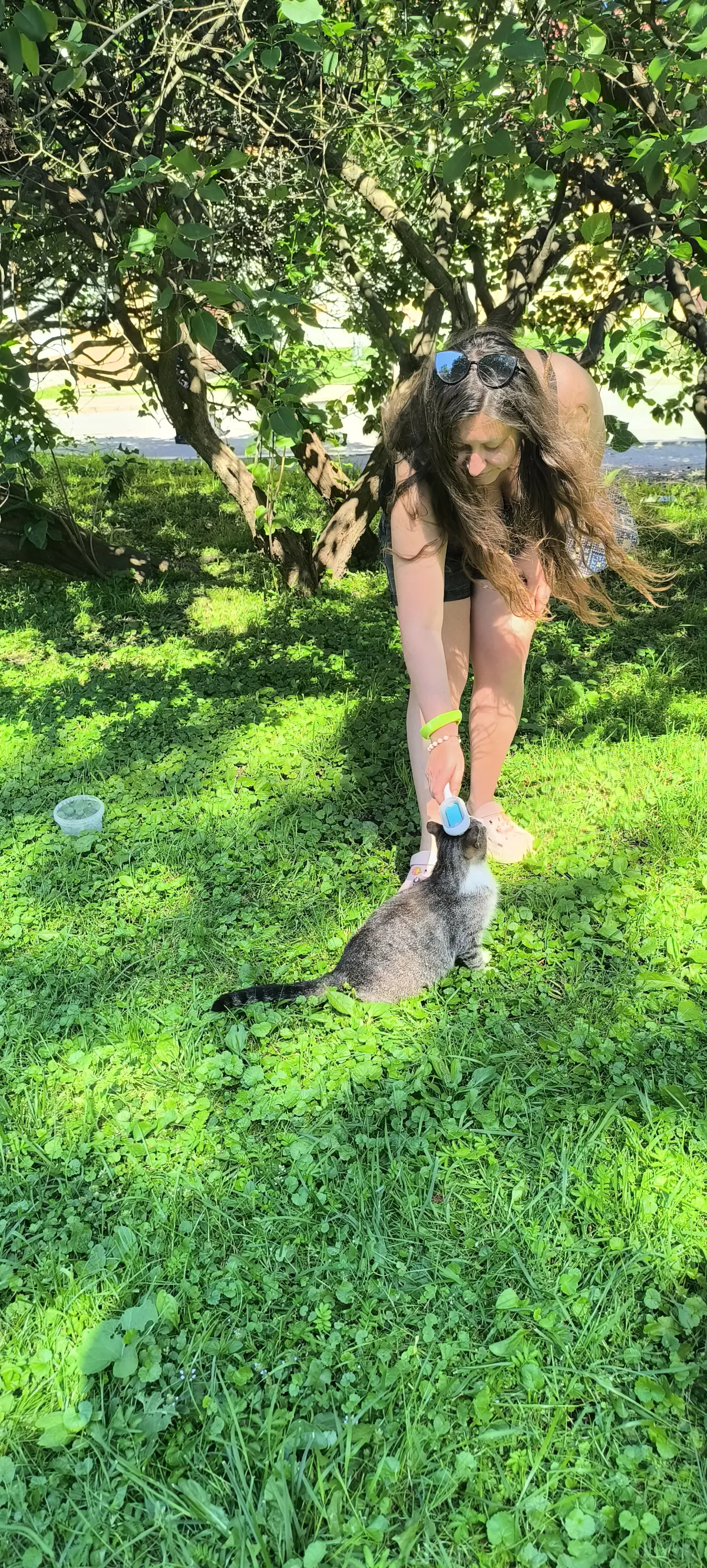 Коллеги, с международным днем котиков 🐾 | Сетка — социальная сеть от hh.ru