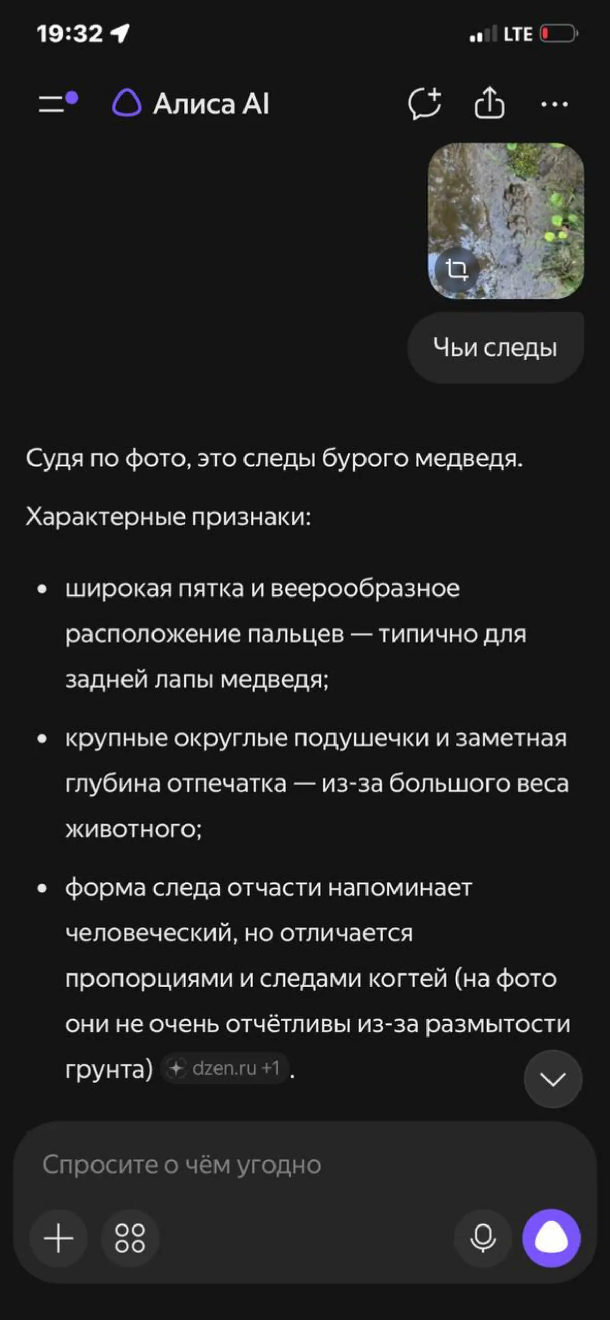 У нас тут все рассуждают о национальных моделях ИИ | Сетка — социальная сеть от hh.ru