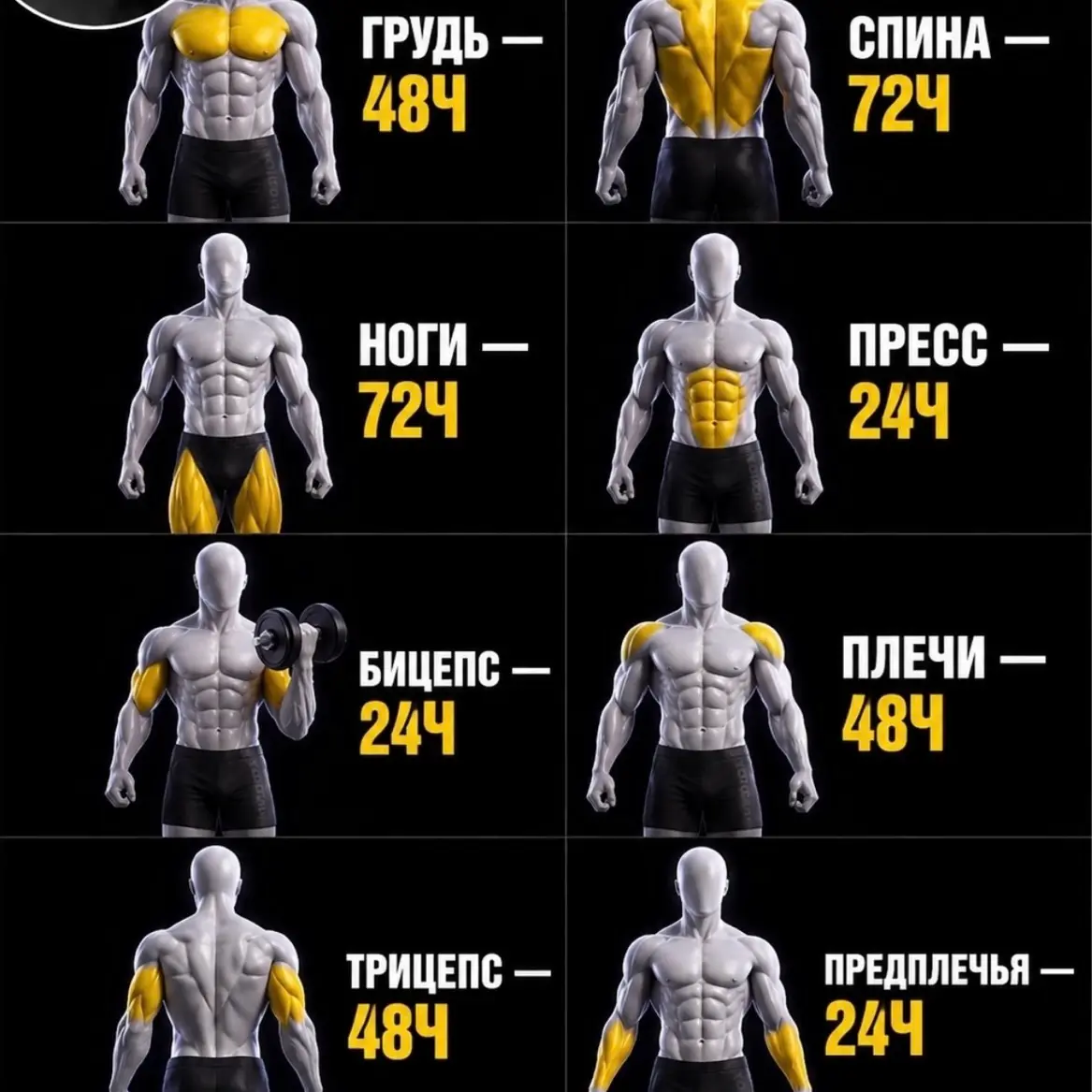 ⏰🔋 | Сетка — социальная сеть от hh.ru