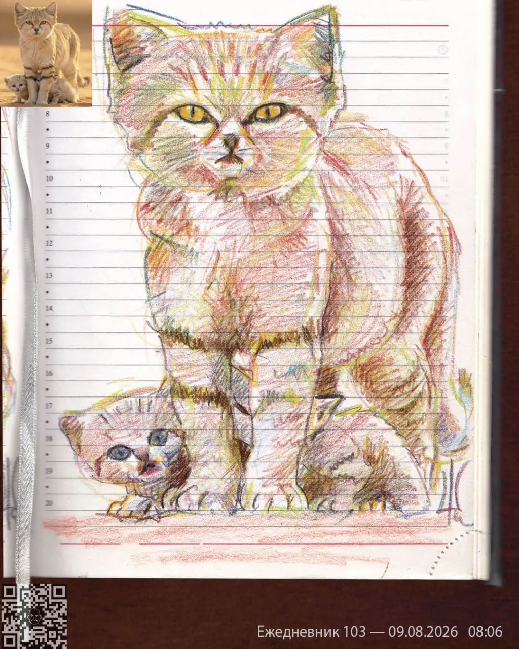 Ежедневник*, день 103
Фауна Африки
Песчаная кошка (барханный кот) — одна из самых загадочных диких кошек в мире (настолько хорошо скрываются в пустыне, что их долго не могли изучать в естественной сре... | Сетка — социальная сеть от hh.ru