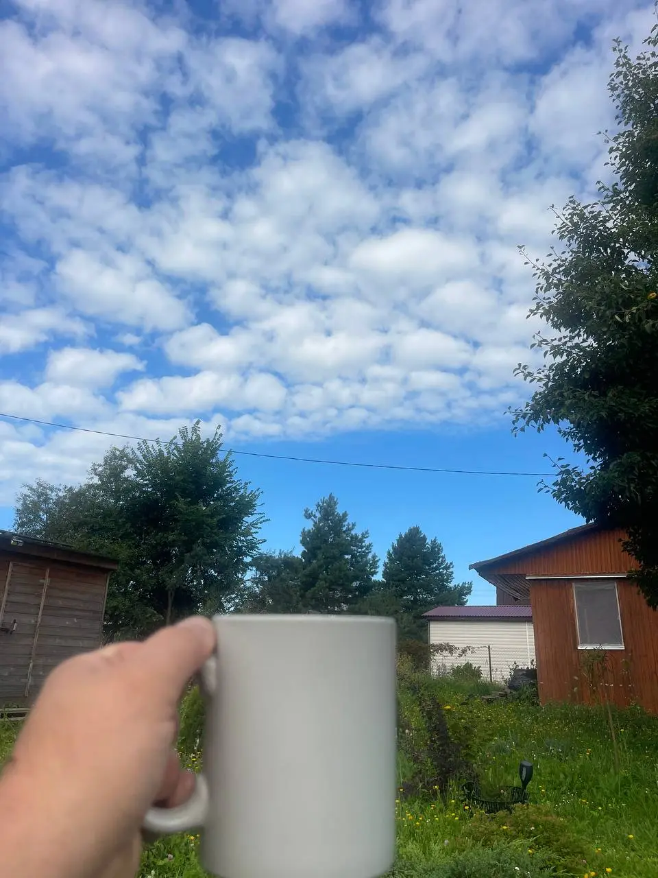 Всем доброе утречко 😉🤗
С утра кофе, при хорошей погоде | Сетка — социальная сеть от hh.ru