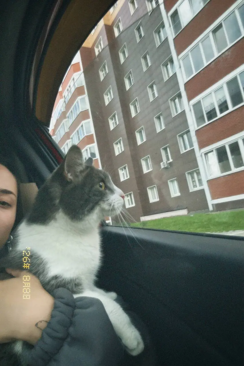 Сима переехал в новый дом 😅
Все в шоке, все уставшие, новоселье через месяц 🤟🏼
И знаете что… через какое-то время, когда мы будем брать свое жилье, придется опять делать ремонт и перевозить все 😭😅 дай... | Сетка — социальная сеть от hh.ru