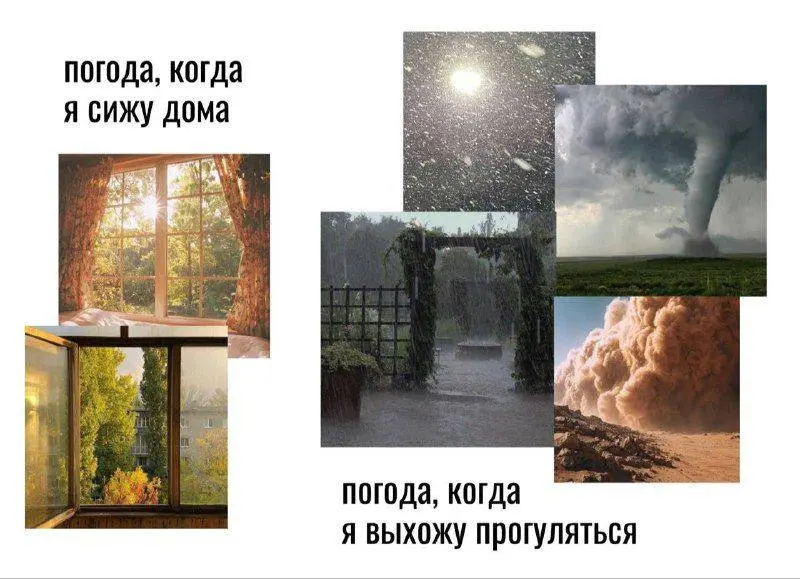 #life | Сетка — социальная сеть от hh.ru