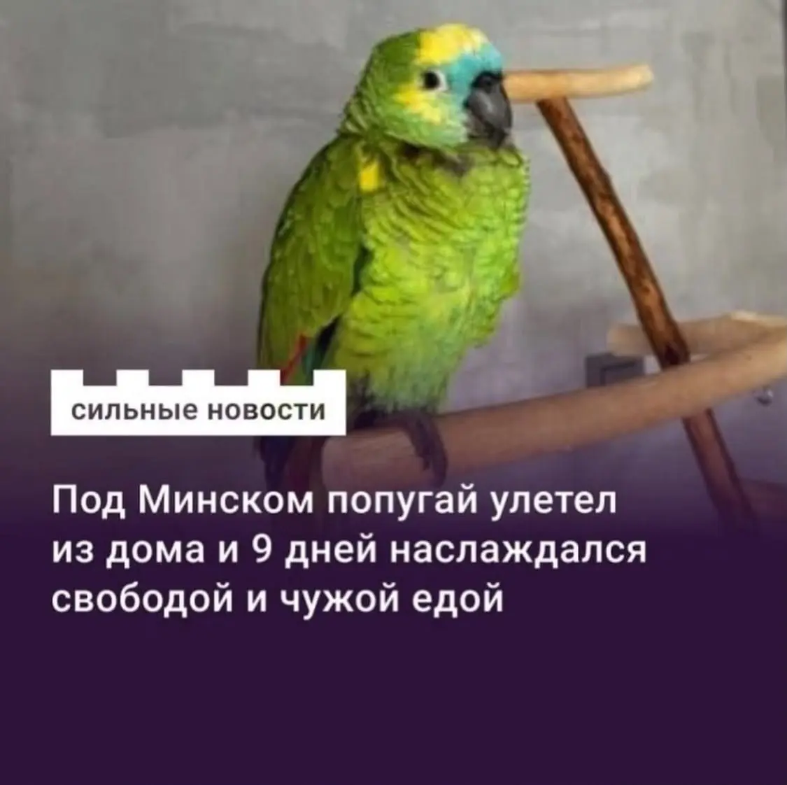 Не карьерные новости. #выходные | Сетка — социальная сеть от hh.ru