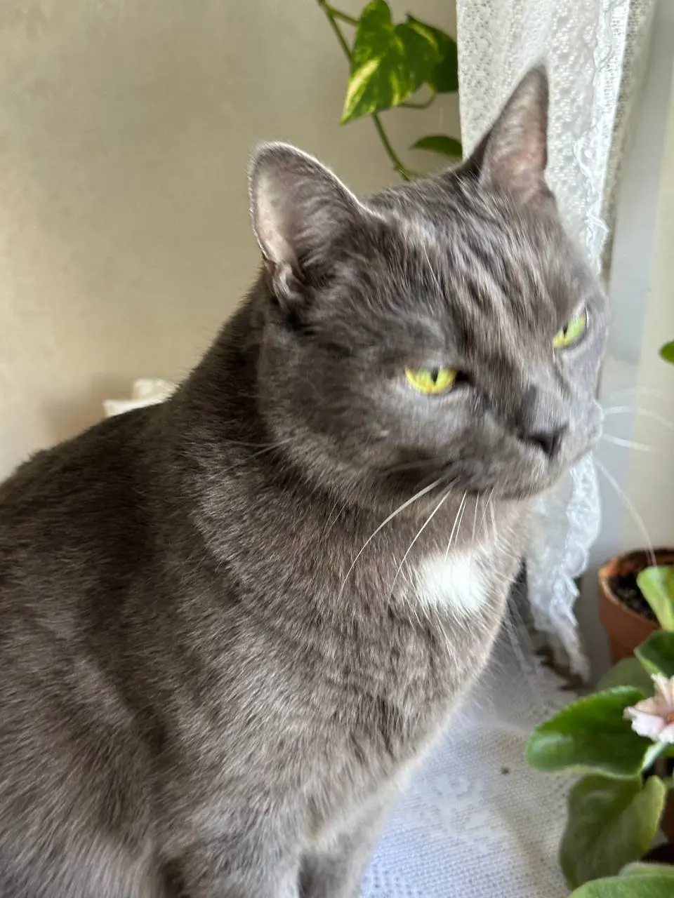 Вчера был Всемирный день кошек 🐱
Как удивительно кошки умеют быть собой.
Мой кот не пытается соответствовать моим представлениям о том, каким должен быть хороший кот | Сетка — социальная сеть от hh.ru